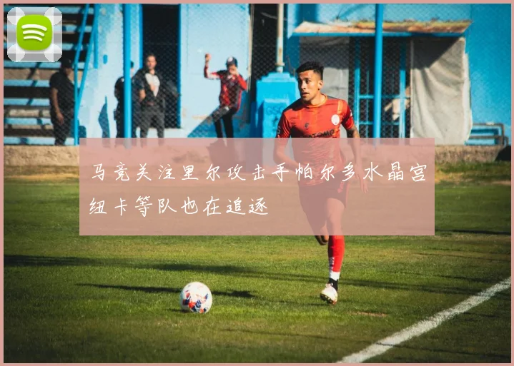 马竞关注里尔攻击手帕尔多水晶宫纽卡等队也在追逐